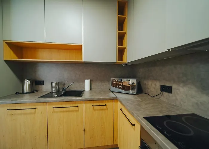 Apartament Silence Triventi Z Widokiem Na śnieżkę *