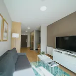 Appartement Silence Triventi Z Widokiem Na Sniezke *